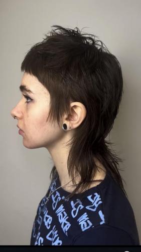 Edgy Mullet